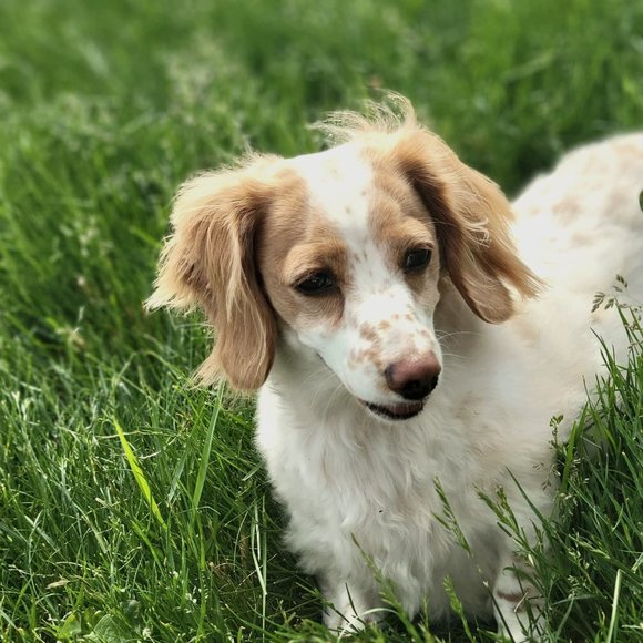 Paisley Rae Clothing - Picture 1 of 1